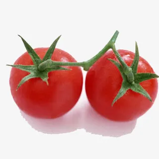 小柿子西红柿免抠