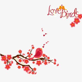 梅花上的鸟素材背景