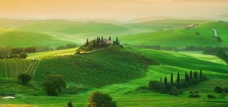 辽阔草原风景背景高清