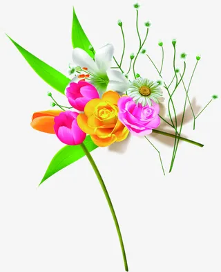 手绘彩色康乃馨教师节免抠