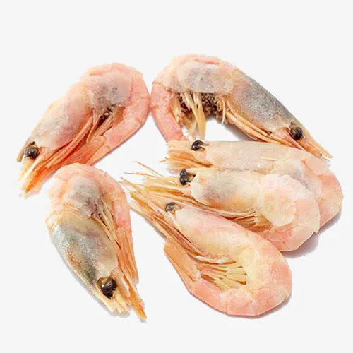野生牡丹虾免抠