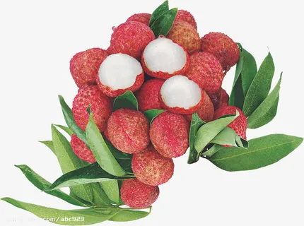 水果素材免抠 水果素材免抠