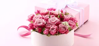 花束礼盒背景