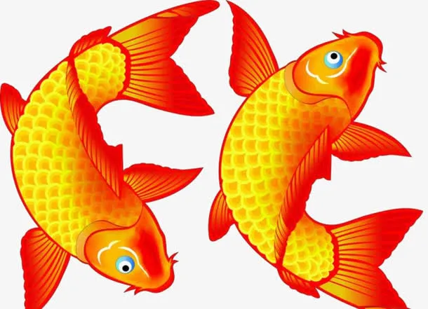 鲤鱼戏水免抠