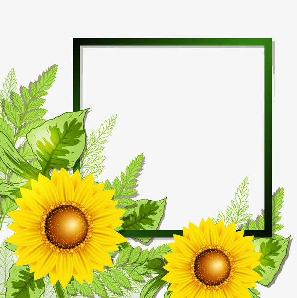 太阳花边框免抠