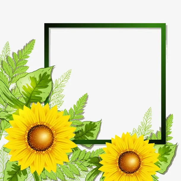 太阳花边框免抠