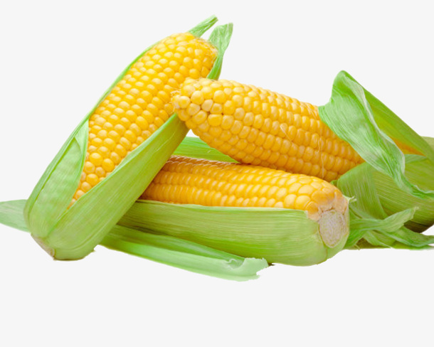 实物一堆熟玉米免抠