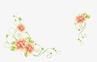 矢量花朵边框素材免抠