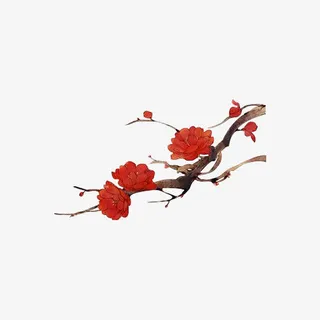 盛开的梅花免抠