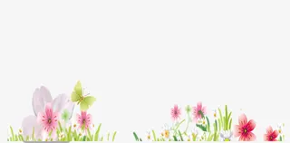 手绘草地花草花朵装饰边框免抠