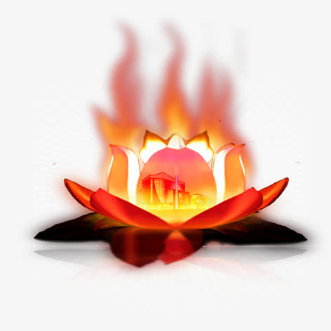 莲花灯免抠