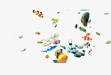 深海海底鱼群免抠