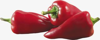 辣椒种植 辣椒秧 绿色食品 自然免抠