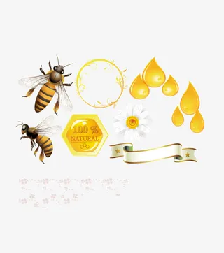 蜂蜜蜂巢蜜蜂模板下载免抠