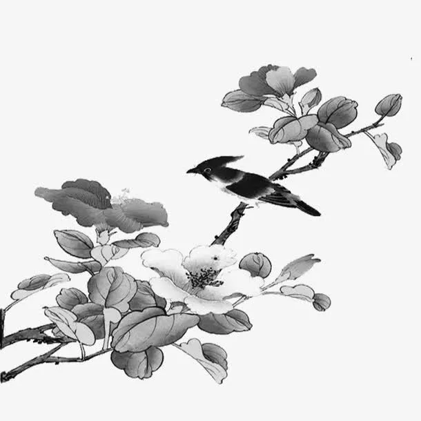 黑白花朵免抠
