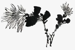 手绘绒菊花免抠