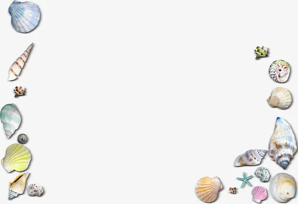 贝壳海螺海星免抠