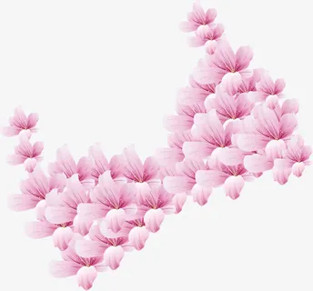 粉色花瓣内衣医院免抠