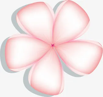 .夏日 夏天 元素 PNG 素材 夏免抠