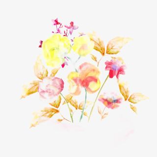 晕染花朵设计免抠