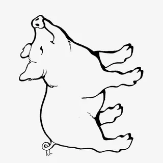 黑色线猪简笔画免抠