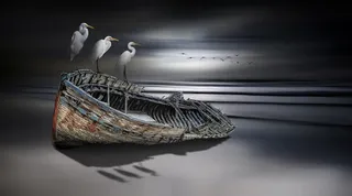 渔船海鸟海报背景