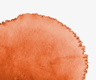 岗岗好新年卡促销图标免抠