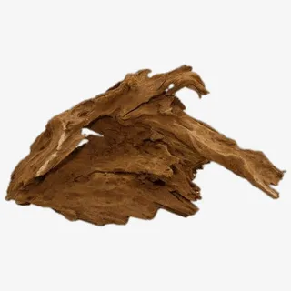 沉木免扣元素免抠