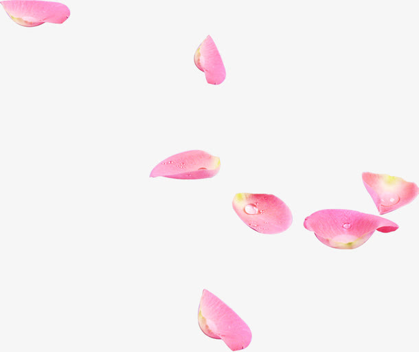 水珠飘舞粉色花瓣免抠