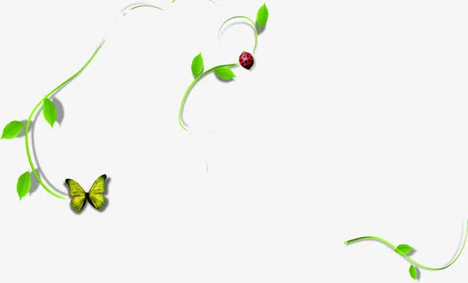 春天绿叶昆虫装饰免抠