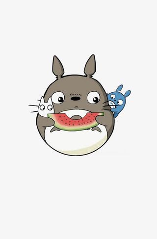 在吃西瓜的小龙猫免抠