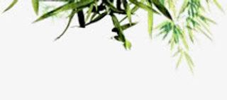 绿色树枝树叶长条形叶子免抠