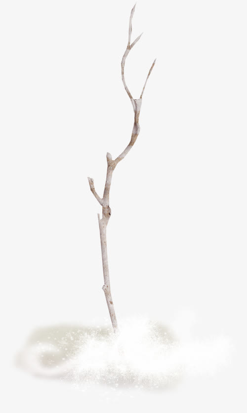 枯树免抠