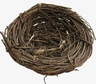 棕色枯枝鸟窝免抠