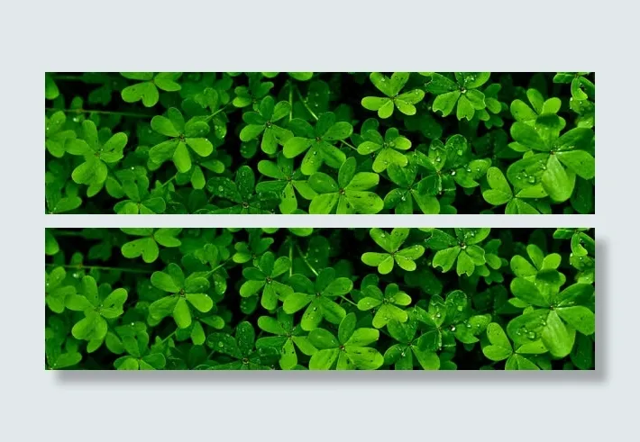清新背景banner