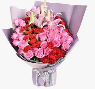 教师节红色康乃馨免抠