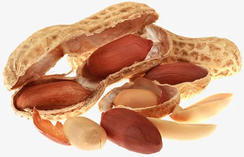 剥开的花生免抠
