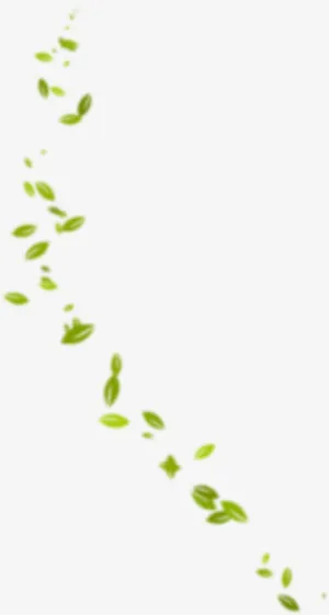 绿叶模糊掉落漂浮免抠