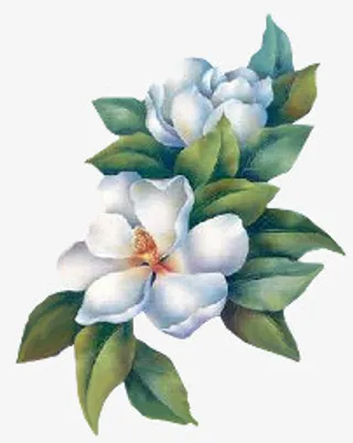 装饰卡通花草背景素材