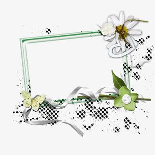 花卉标签花卉图案素材免抠