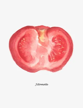 水彩西红柿免抠