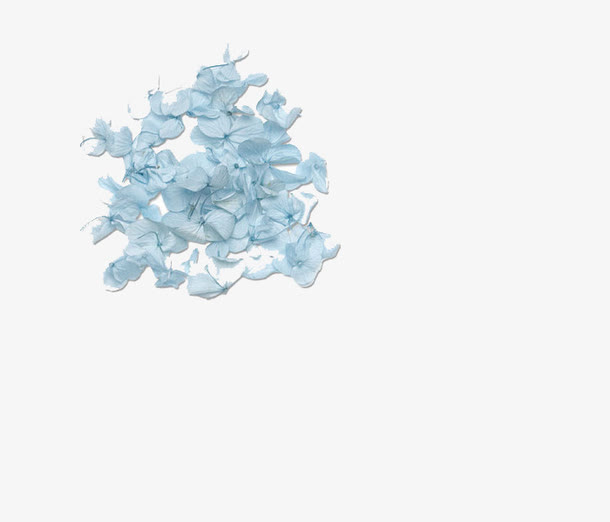 花卉图案鲜花素材免抠