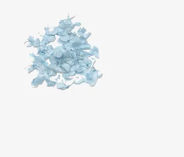 花卉图案鲜花素材免抠