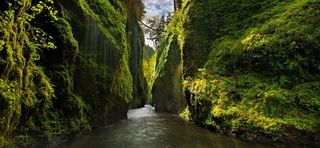 森林山水海报背景高清