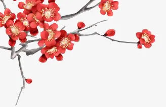 梅花水彩梅花花枝免抠