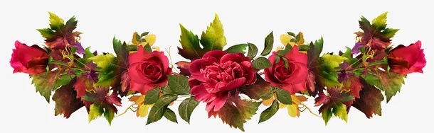 红色鲜花免抠