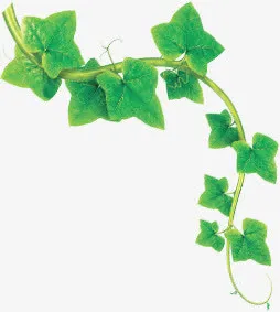 绿色春天树叶花藤藤条免抠