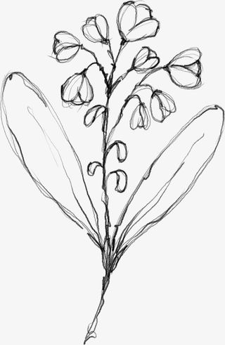 水墨花朵元素47免抠