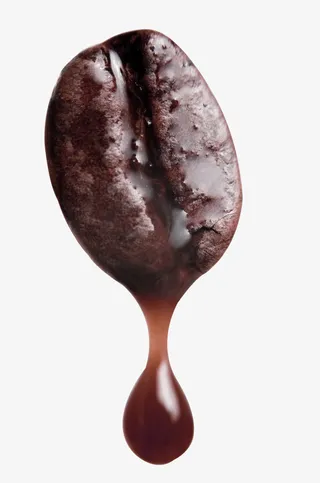 棕色简约咖啡豆装饰图案免抠