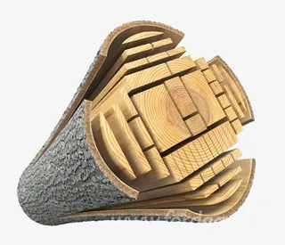 橡木材质木桩PNG免抠免抠